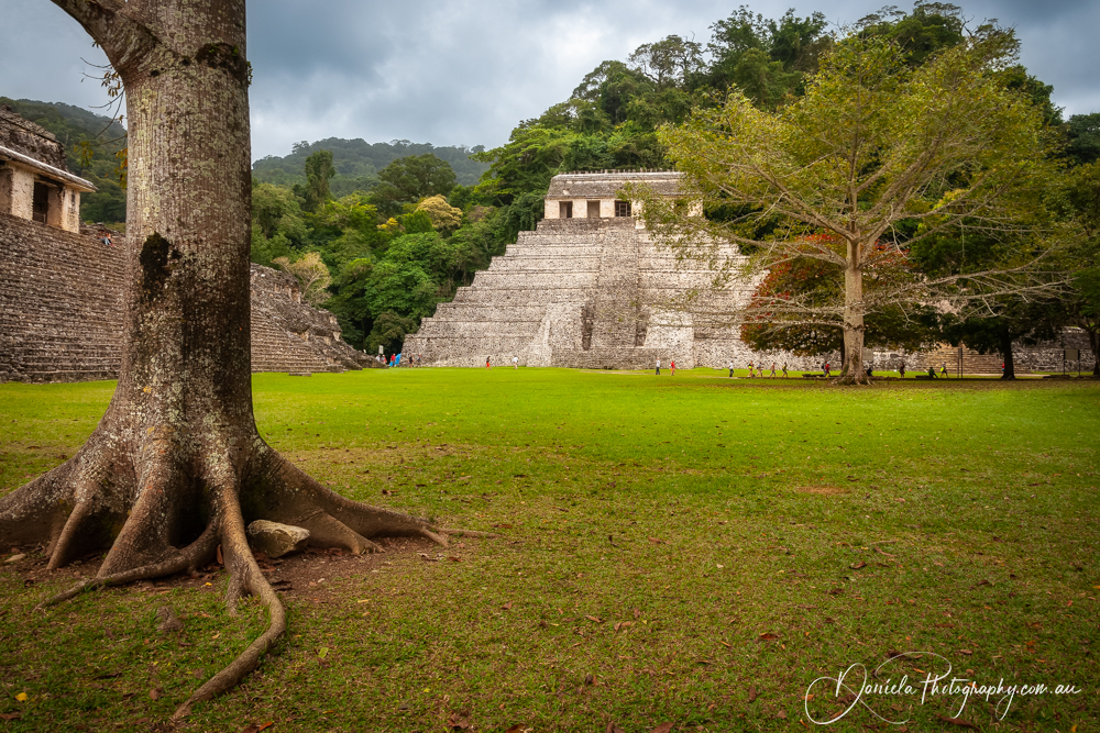 Palenque,Temple of Inscriptions Largest Funeral Pyramid
